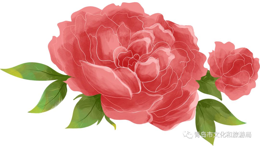 识花赏花学知识,赏花识花学知识