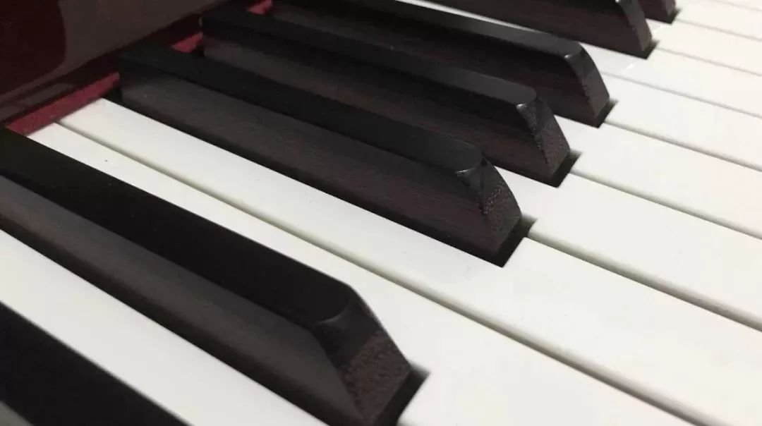 一般人不知道的冷知识笑哭,从零开始学钢琴的十大秘诀