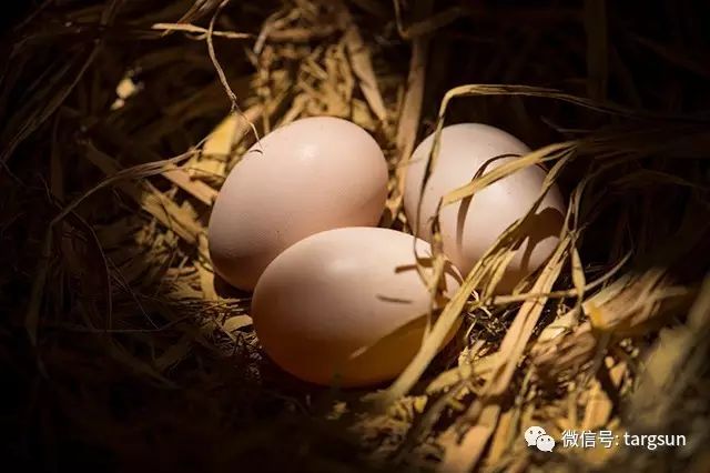 热烈庆祝入住一周年,热烈庆祝入驻新项目祝贺词