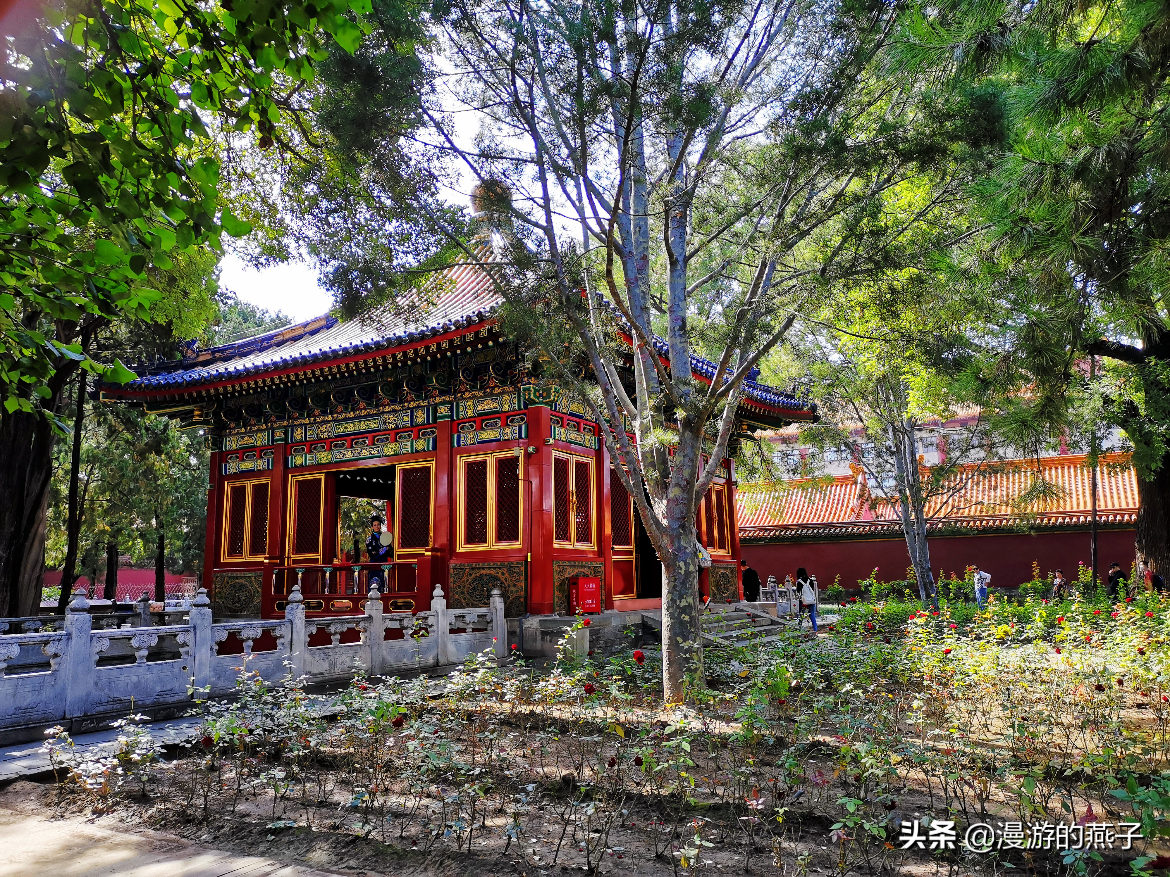 故宫神秘的宁寿宫花园,慈宁宫花园又称为什么花园