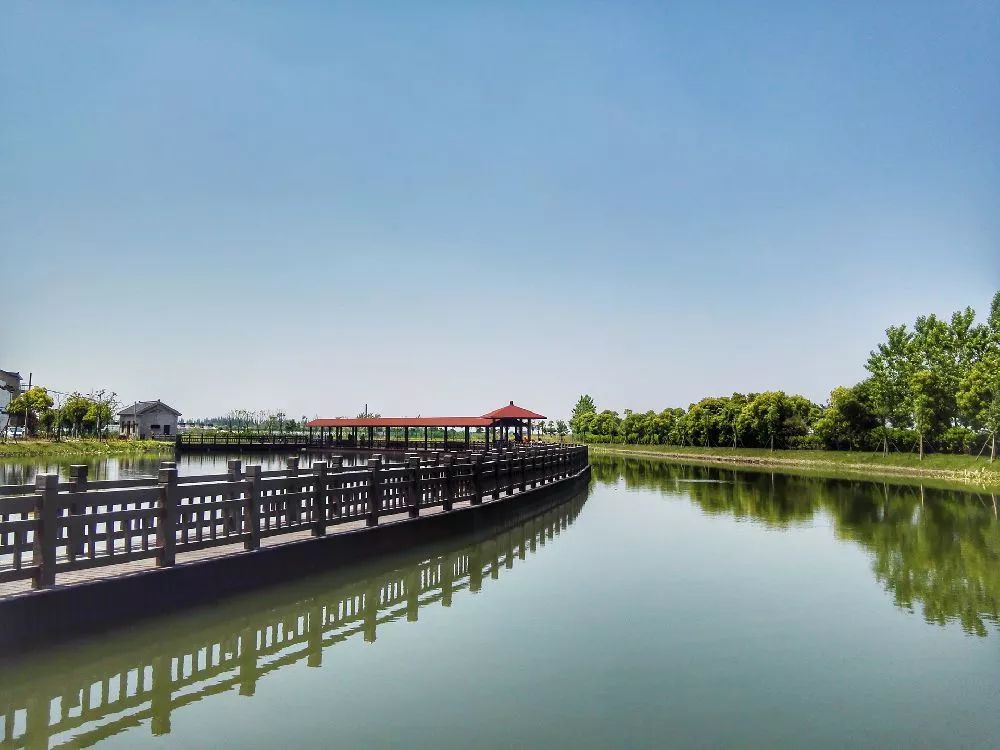 上海春游踏青好去处,上海春季踏青旅游攻略