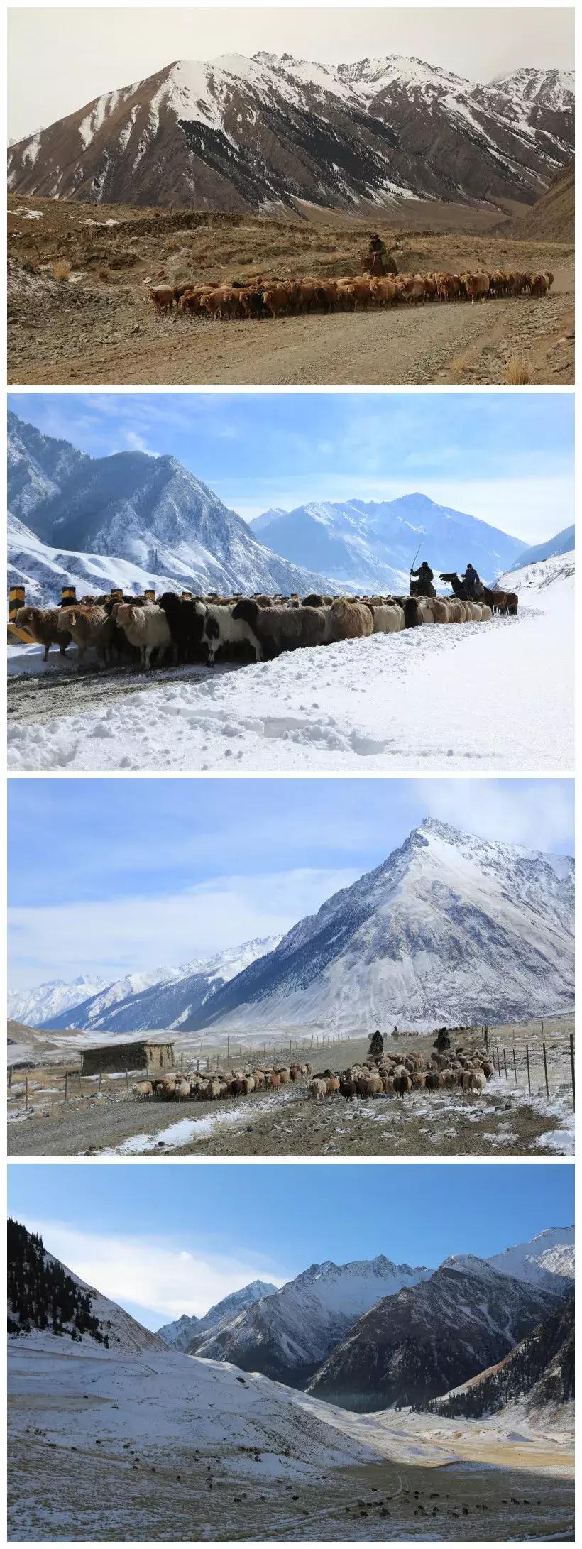 新疆昭苏冰雪文化旅游攻略,新疆昭苏冰雪旅游节
