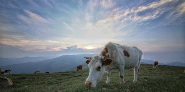 大朝台与小朝台有何不同,五台山去了大朝台还要去小朝台吗
