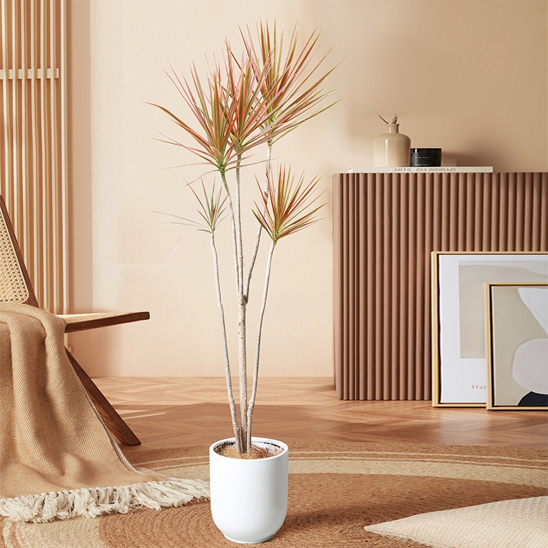 好看又好养的盆花,人养花也养人