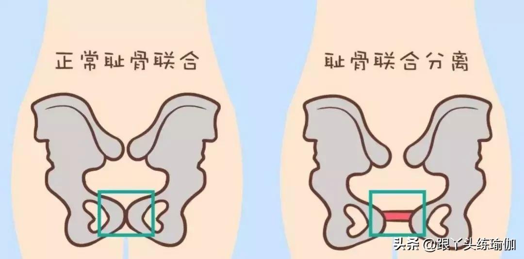 松弛素对人体的利与弊,松弛素对女性塑形的好处