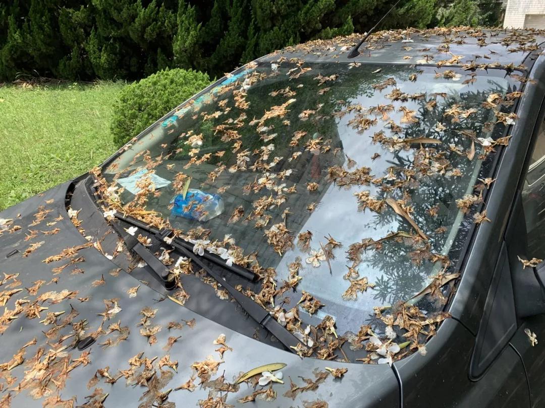 比亚迪黑色的车漆如何补,比亚迪哪种车漆不易老化