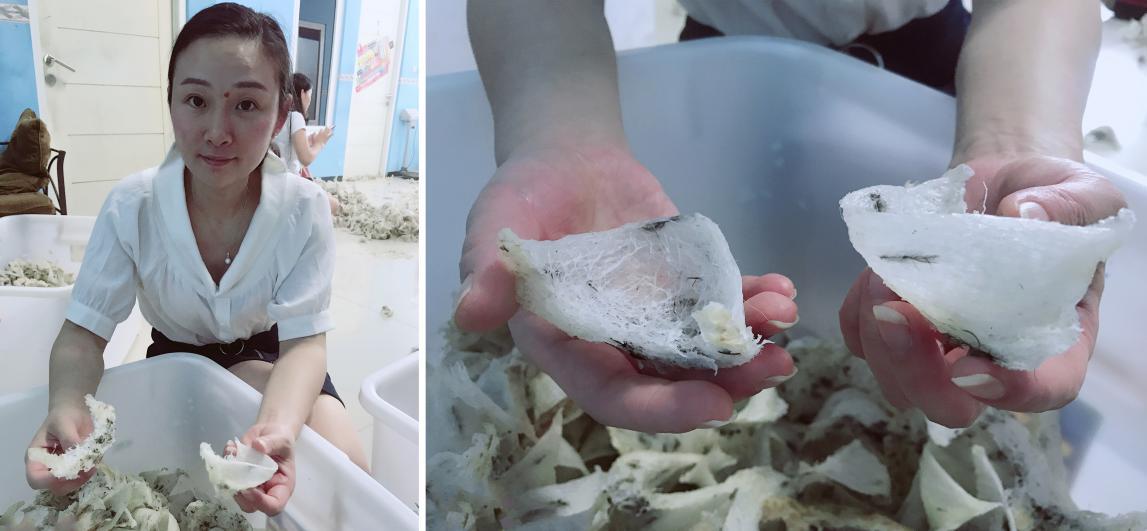 印尼产的燕窝是真的吗 (燕窝最好的产地为什么是印尼)