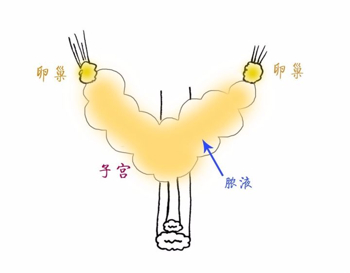 猫咪绝育后性格会改变吗,猫咪什么时候做绝育最好