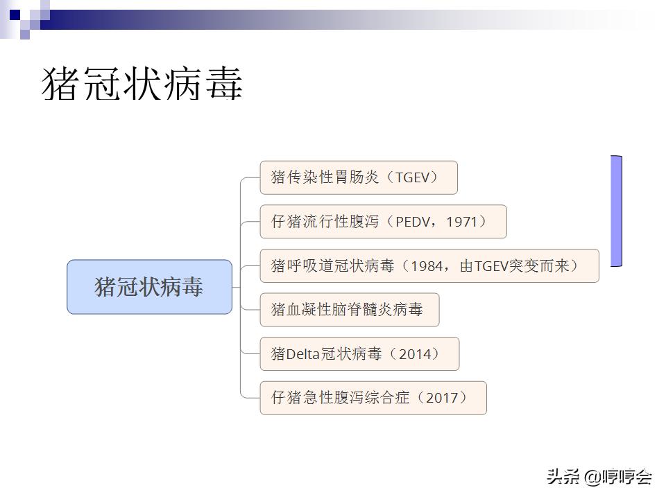 猪德尔塔冠状病毒怎么治疗,猪肠道冠状病毒