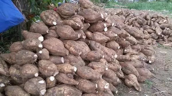 广东广州秋天正确的打开方式,广州花都夏天的好去处