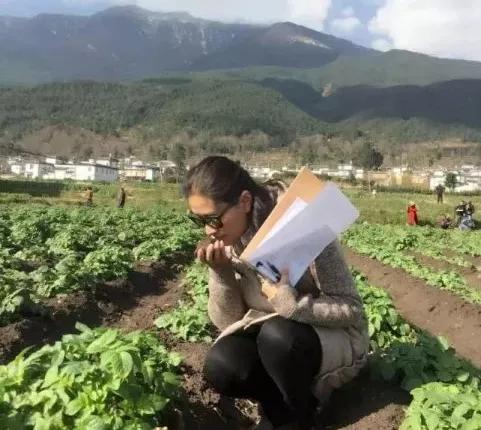 让农业回归原生态,呼唤传统农业回归