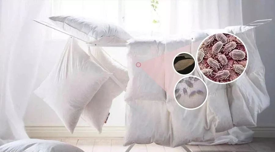 被猫尿过的厚被子怎么办,被猫尿过的棉被子怎么办