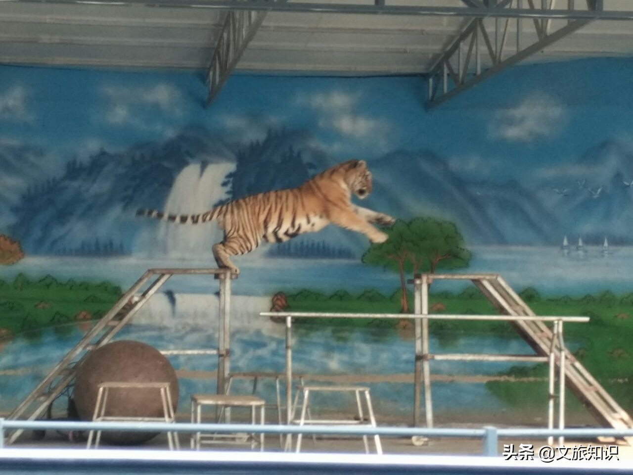 山东德州动植物园旅游区,德州市动植物园视频