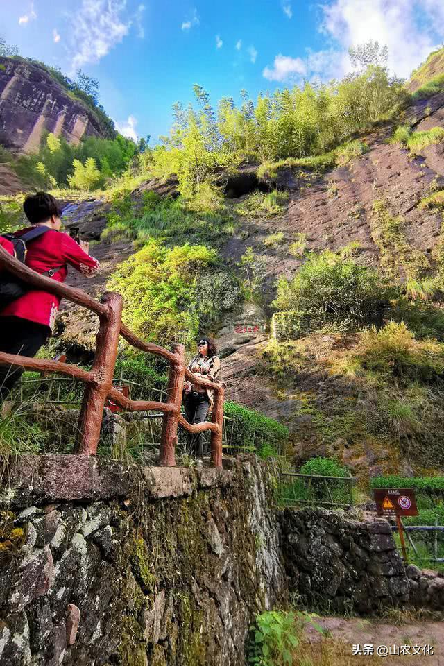 武夷山最有名的大红袍茶,武夷山大红袍正宗茶有多少钱一斤