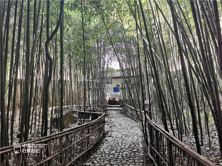 陕西秦岭神秘地,陕西秦岭神秘山脉