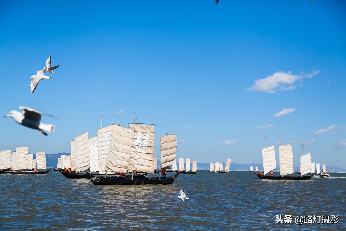 世界春城排行榜云南独占6城,云南世界第一春城