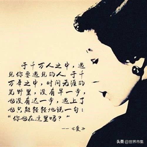 物欲社会里的“猫人”和“狗人”