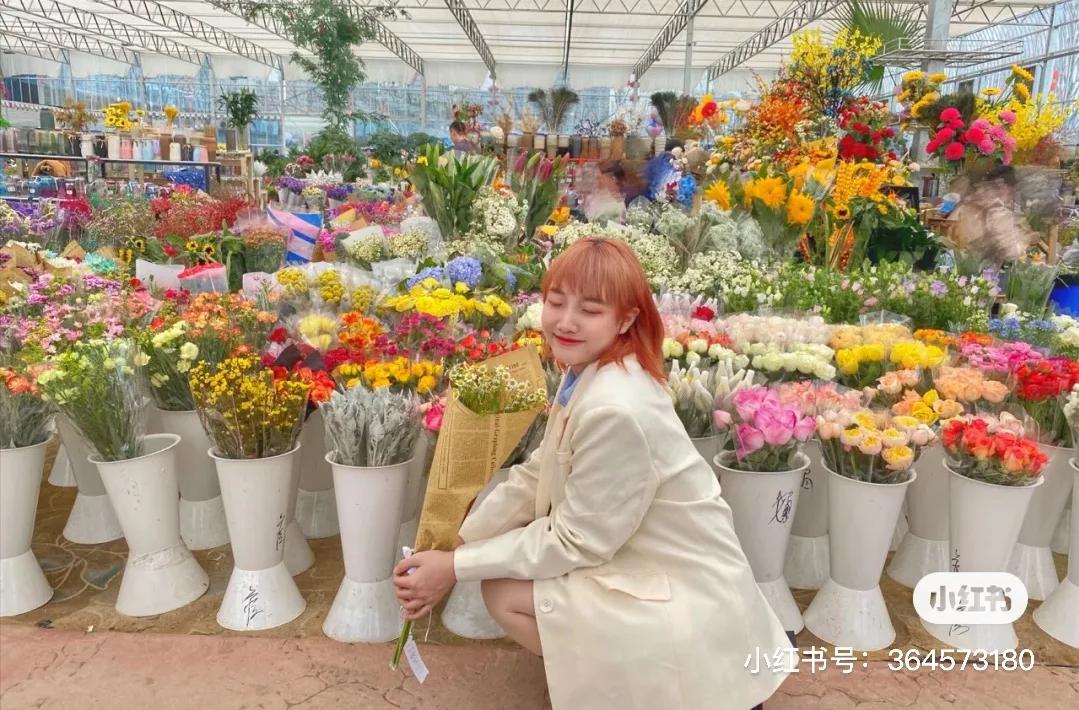 成都的花市批发市场在哪里,成都花市合集