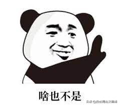 可以免费下载的pdf网站,不用登录免费的pdf网站