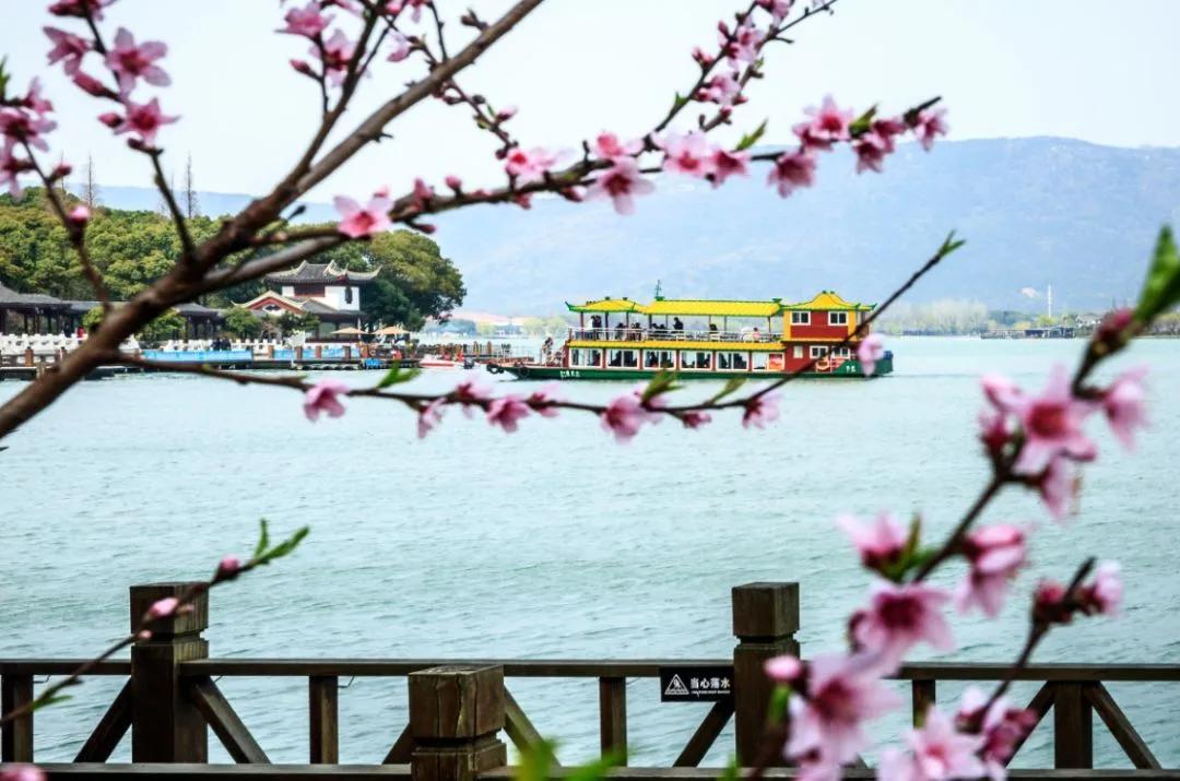 云赏直播中心,云赏直播