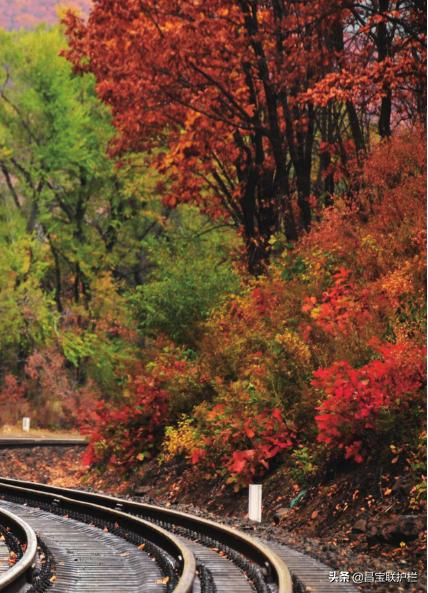 滨绥铁路是电气化铁路吗,滨绥铁路290公里