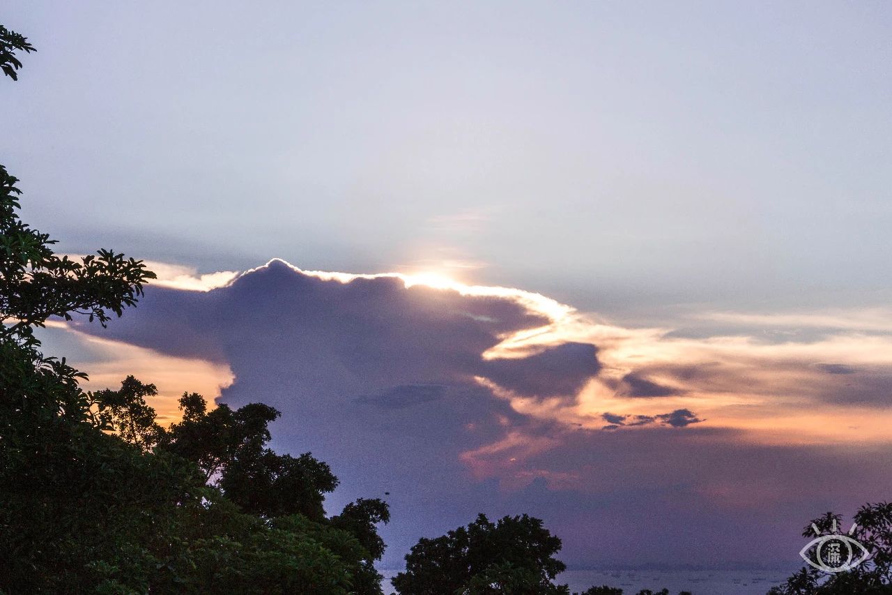 深圳周末带孩子免费游玩好去处,2021深圳免费适合遛娃玩地方排名