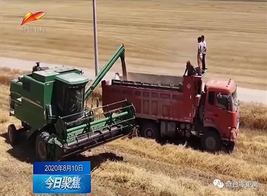 关于做好六稳六保工作的提示函,用心用情用力落实六稳六保