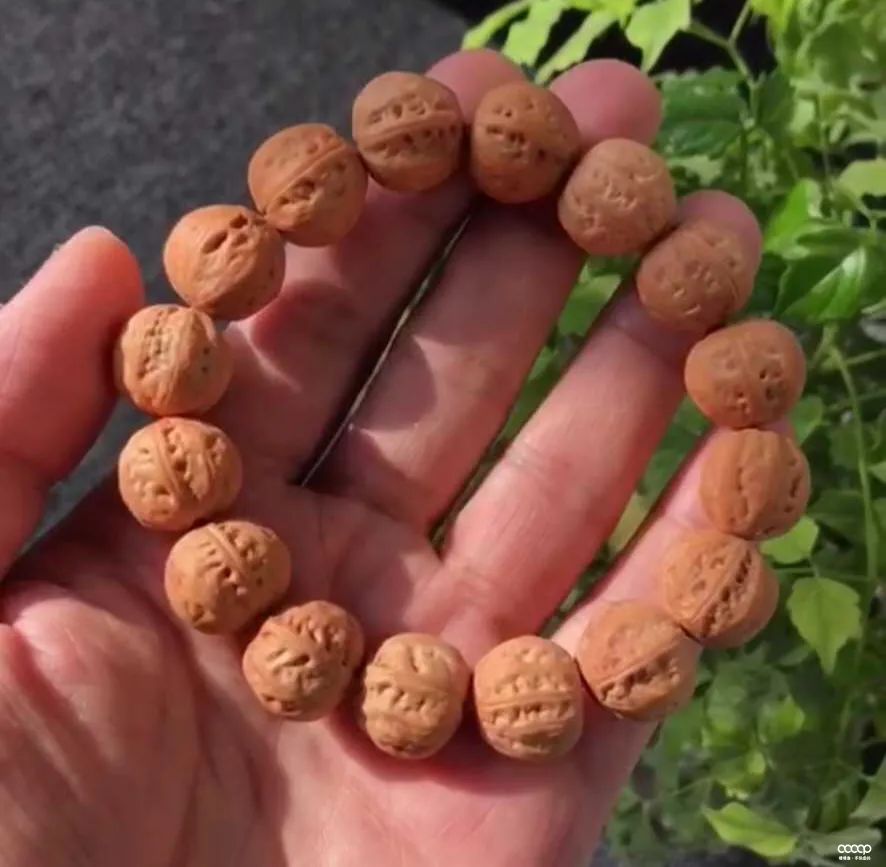 小核桃手串是不是越小就越好,玩核桃少走弯路