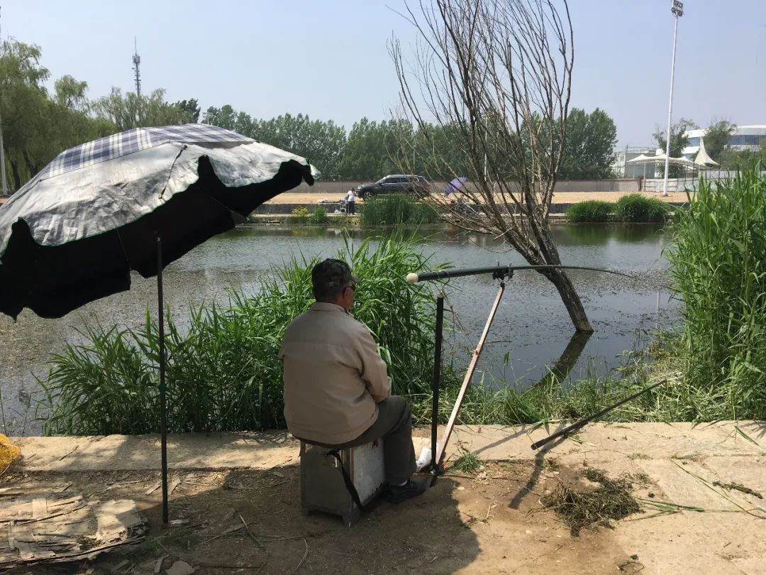 走进北京蟹岛垂钓园,北京蟹岛垂钓园介绍