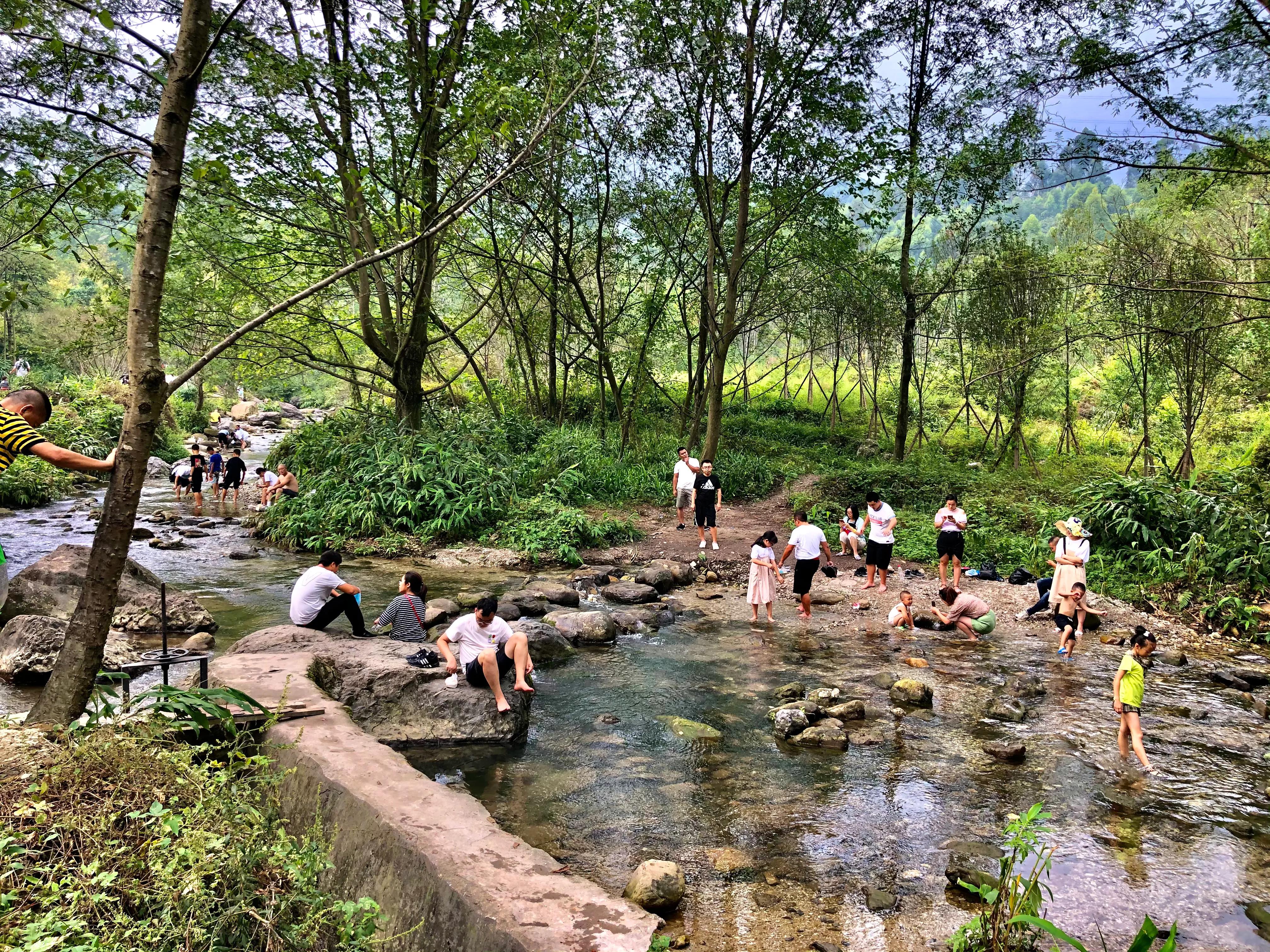 峨眉山高桥镇开发,峨眉山高桥田园生态小镇怎么样