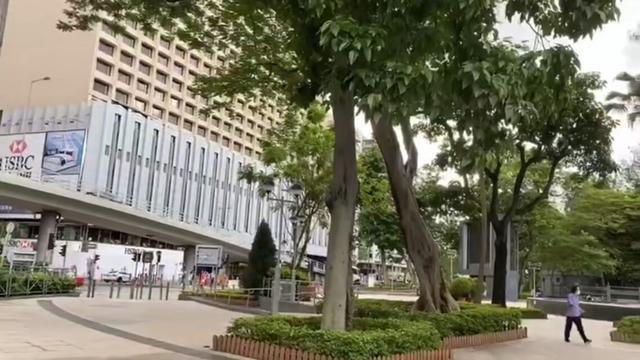 老公痴迷炒股谁劝都不听,老公只迷恋炒股该咋办