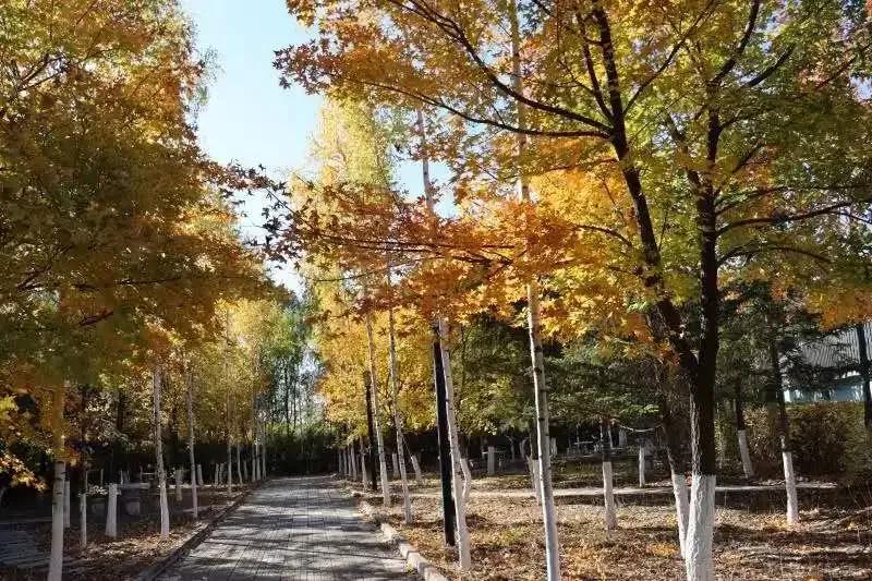 吉林省独立院校（三）长春工业大学人文信息学院