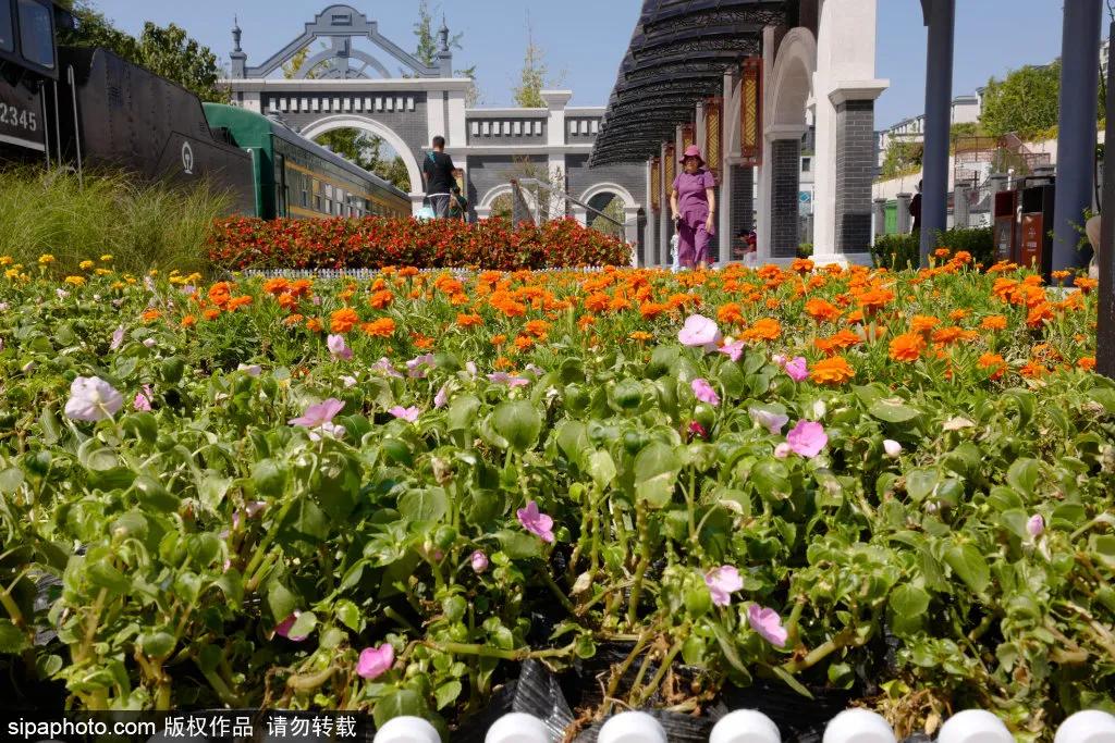 绿皮火车公园打卡景点,各种各样的免费公园