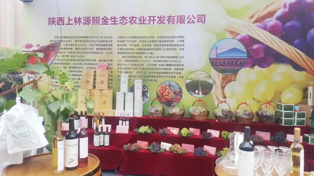 参展企业介绍,参展种业博览会的公司