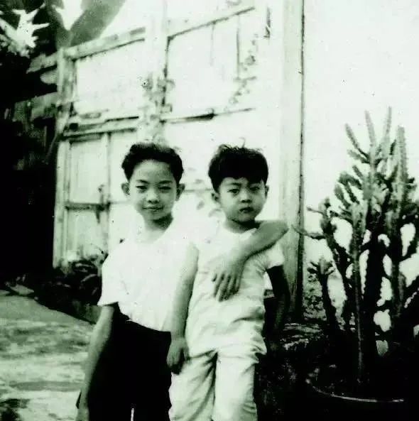 香港才子1989：与张国荣、林青霞共舞的日子