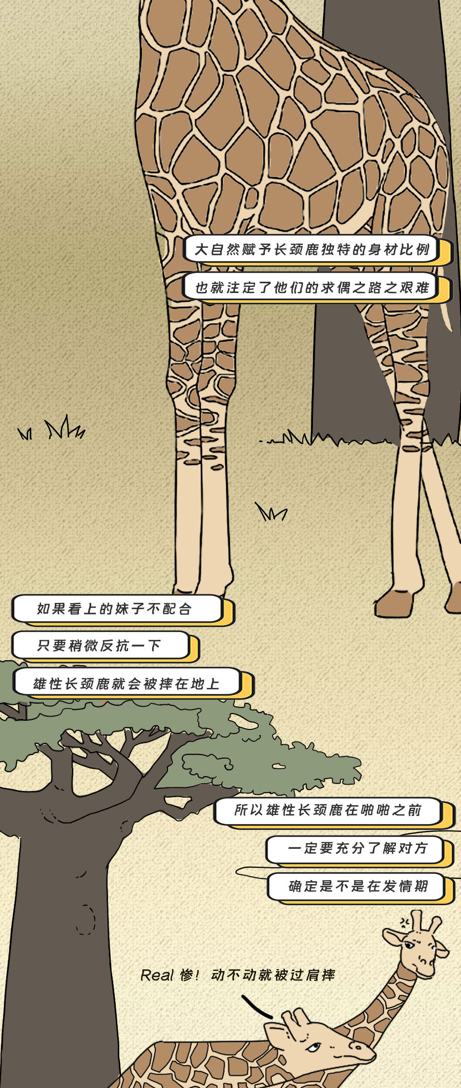 论啪啪啪,人类可比不上它们……