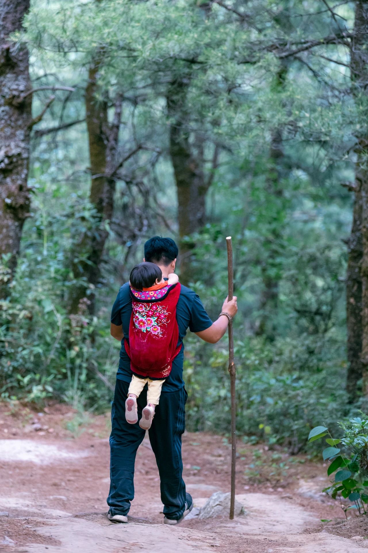 爬了近1个半小时，只为这大理苍山古寺中，孤独又可爱的大橘猫