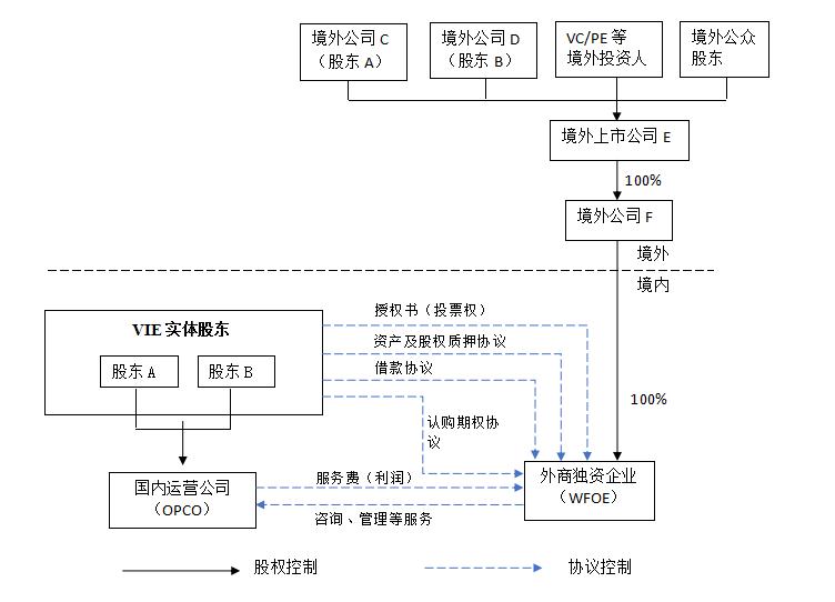 乘风破浪的小蚂蚁,乘风破浪的蚂蚁