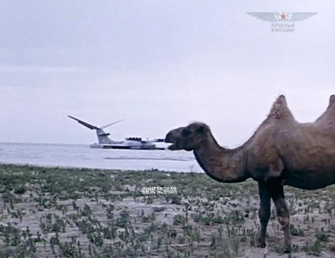 苏联对中国军工的评价,如何评价日本的军工