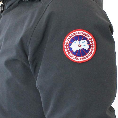 满大街都是加拿大鹅,满街加拿大鹅