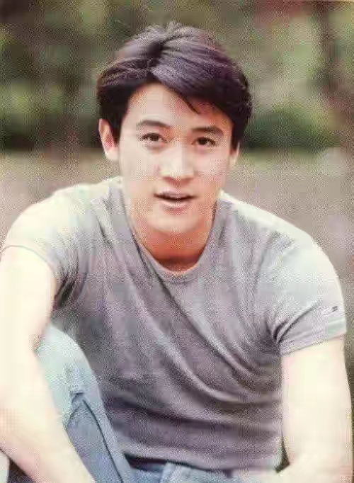 陆毅王炸电视剧百科,王炸电视剧陆毅