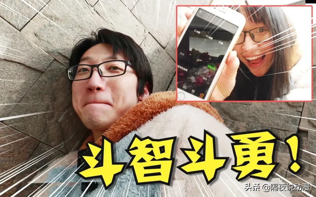 b站鸽王有哪些,b站up主鸽子