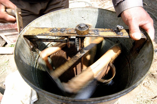 野蜂蜜和家养蜜蜂的区别,怎么甄别蜂蜜真假