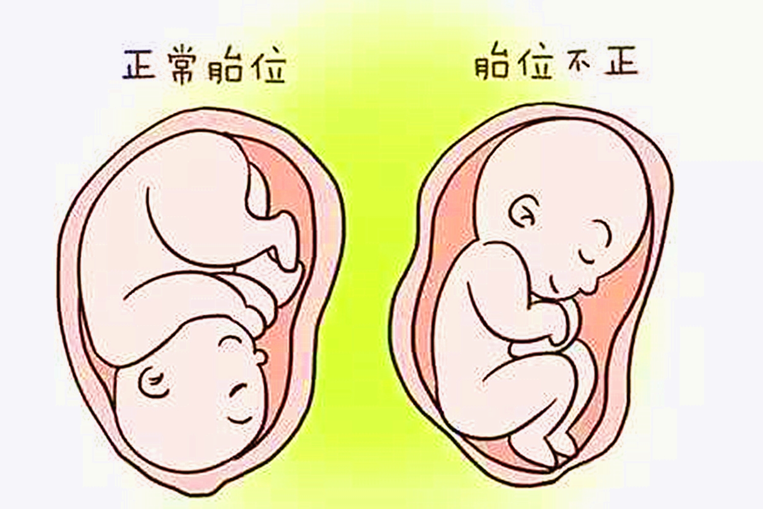 孕妈误将肚子跳动当胎动，其实是胎儿“打嗝”，在为出生做准备