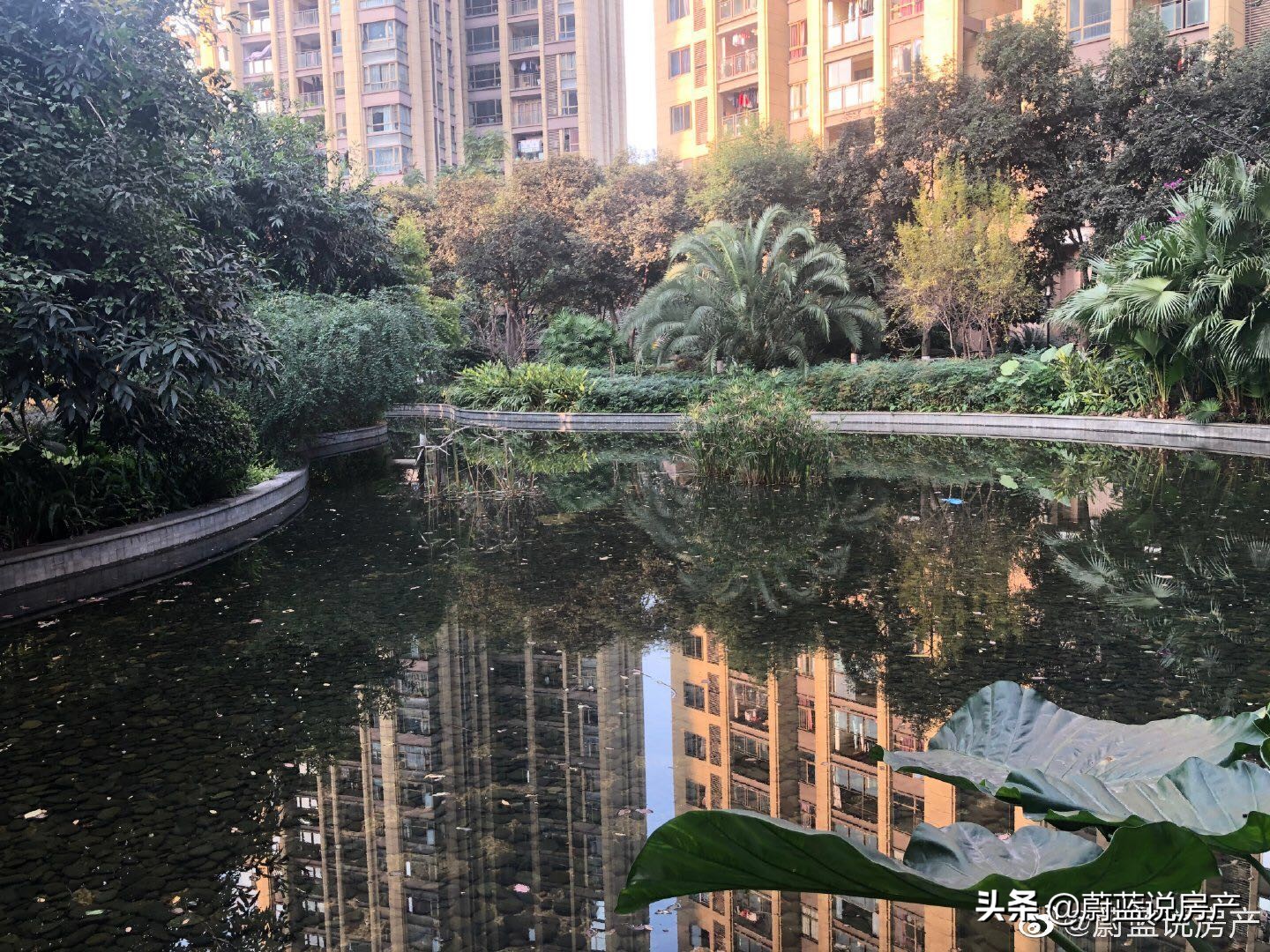 融侨半岛复式房子价格表,融侨半岛商品房