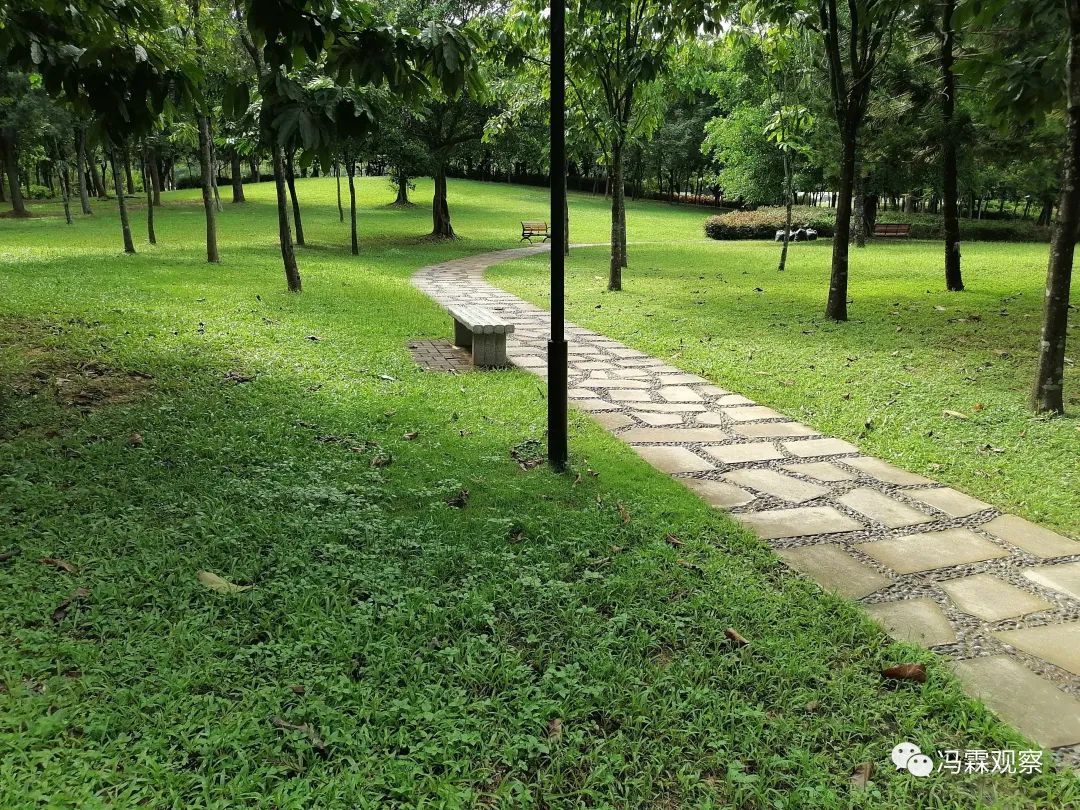 从清茶中飘出来的悠美短文！（文化观察之一O三）