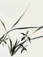 兰花的画法国画,兰花的画法步骤动画