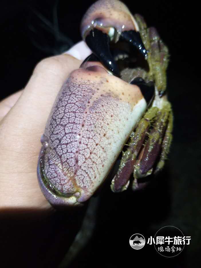 五一小长假海岛露营,小长假海岛露营