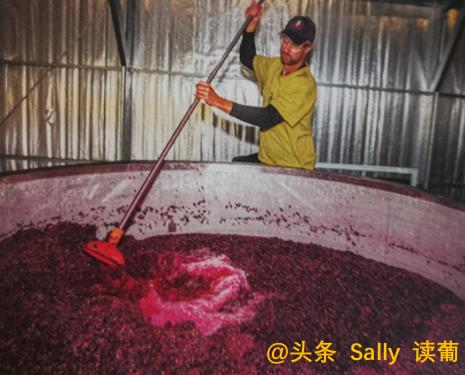 红酒在酒庄经历了什么？争议如此大？朱广权式幽默告诉你