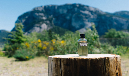 四个初中课本反应方程，大幅降低CO2捕获成本